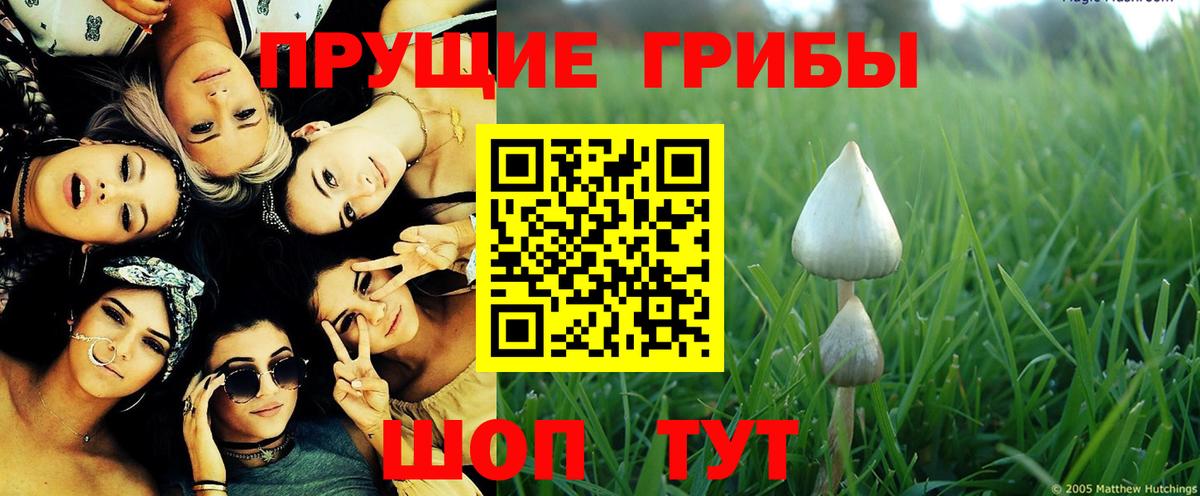 Галлюциногенные грибы ЛСД  купить наркотик  Джанкой  Вход с VPN 